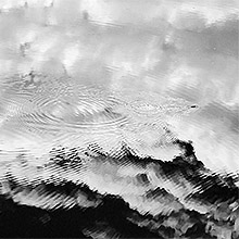 Nature en noir et blanc :  sauts de gerris sur les reflets de nuages