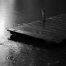 Nature en noir et blanc : gouttes de pluie sur l'eau d'un étang