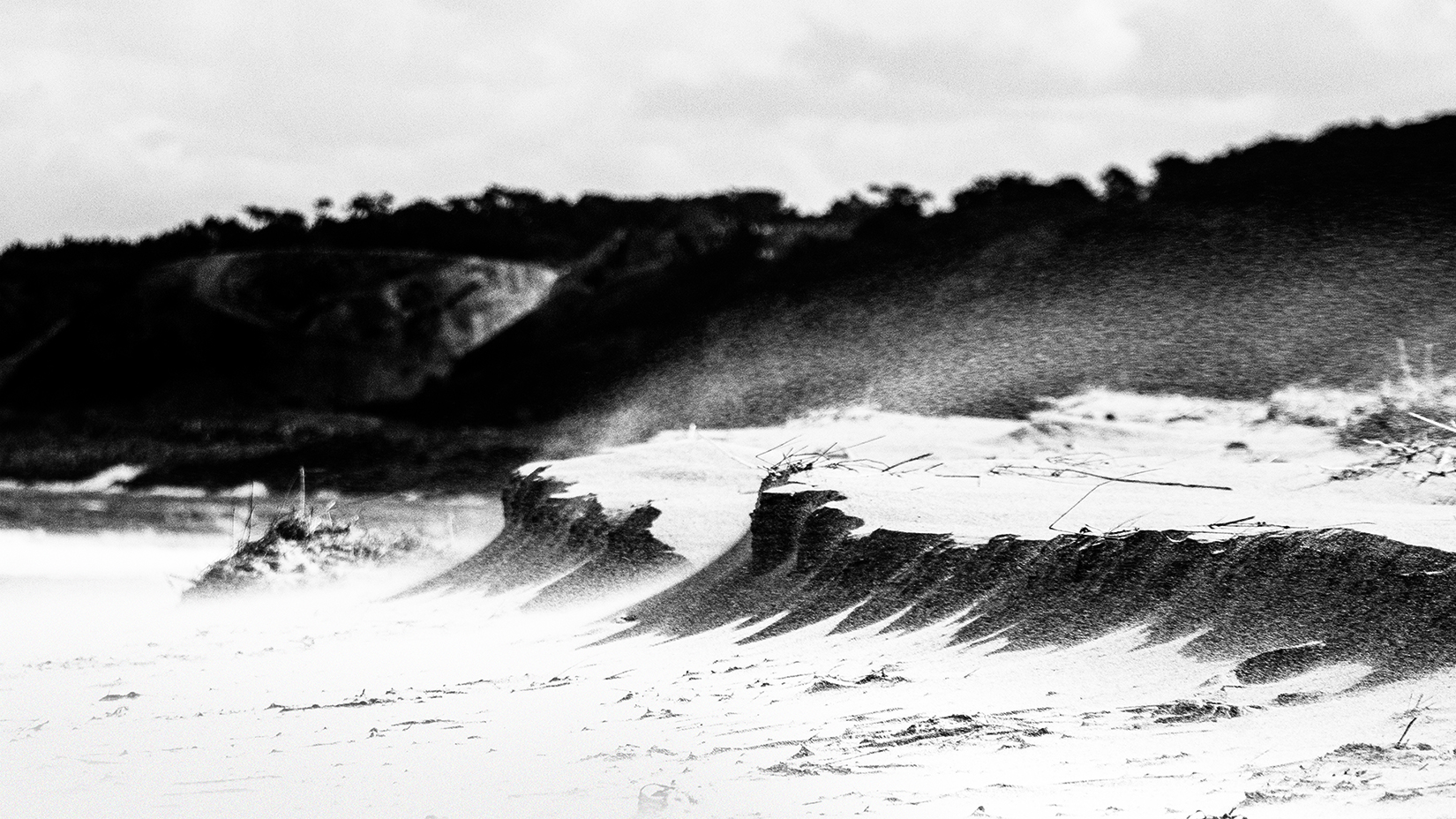 Dunes qui s'évaporent aux vents marins