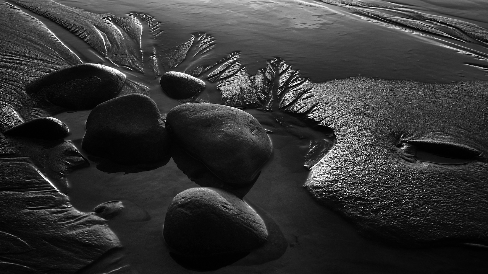 Nervures de feuilles de sable