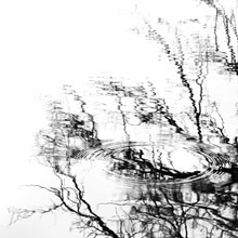 Nature en noir et blanc : reflet et ondulations