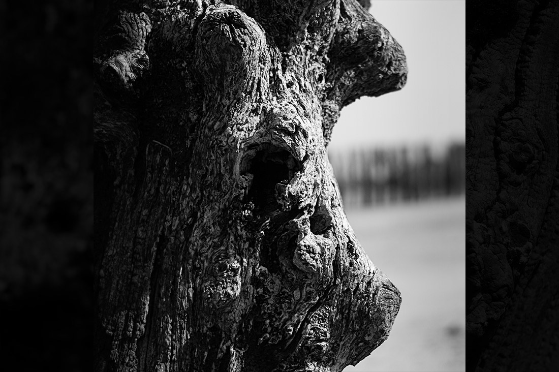 Portrait de bois de brise-lame de St-Malo : Cochette de Cornemuse en noir et blanc