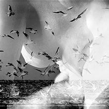 Photomontage en noir et blanc : cicatrices