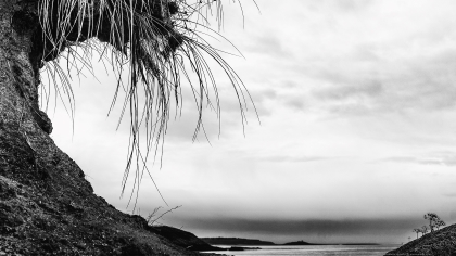 Photo d'une vague de dune en Bretagne Côtes-d'Armor pour fond d'écran