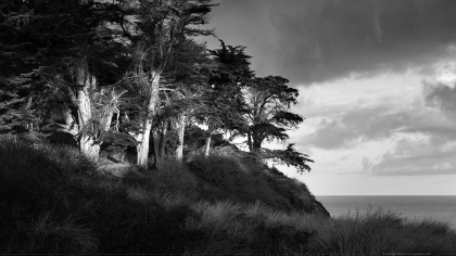 Fond d'écran noir et blanc de Bretagne : Petit Port