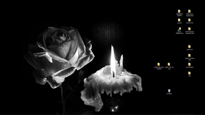 Photo noir et blanc pour fond d'écran : Rose et bougie / Nature morte