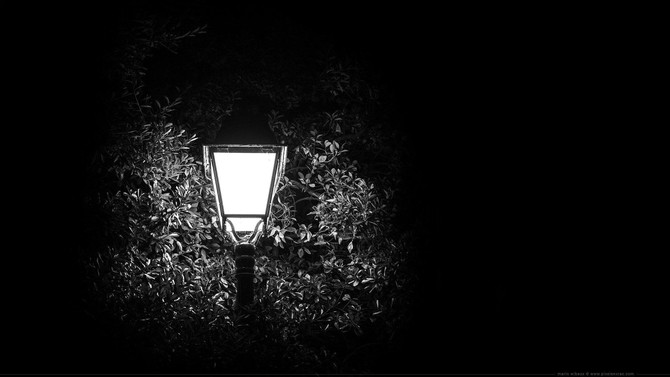Wallpaper noir et blanc : photo de réverbère de nuit pour fond d'écran sur fond noir