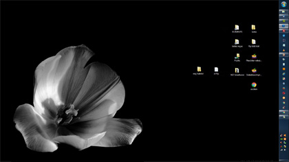 Photo pour fond d'écran noir et blanc : tulipe